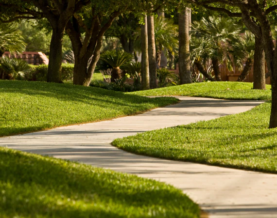 Patios, Walkways & Sidewalks